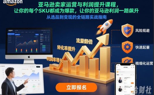 亚马逊卖家运营与利润提升课程,让你的每个SKU都成为爆款,让你的亚马逊利润一路飙升(更新26年3月)