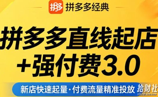 拼多多直线起店+强付费3.0,教你稳定起店、高效控投产、破解流量瓶颈(更新4月)