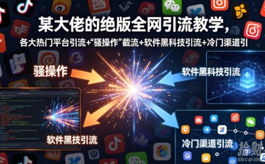 某大佬的绝版全网引流教学,各大热门平台引流+”骚操作”截流+软件黑科技引流+冷门渠道引流等