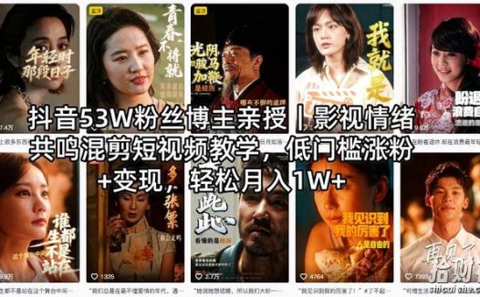 抖音53W粉丝博主初代风华亲授|影视情绪共鸣混剪短视频教学,低门槛涨粉+变现,轻松月入1W+