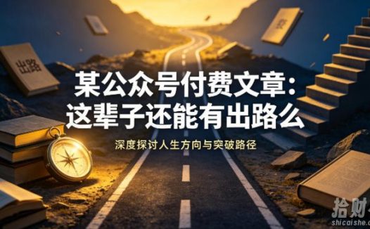 某公众号付费文章：这辈子还能有出路么