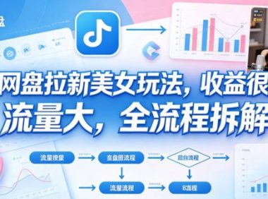 B站网盘拉新美女玩法,收益很稳定,流量大,全流程拆解