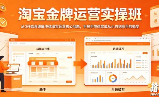 淘宝金牌运营实操班,从0开始系统解决你淘宝运营核心问题,手把手带你完成从小白到高手的蜕变