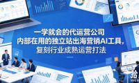 一学就会的代运营公司内部在用的独立站出海营销AI工具，复刻行业成熟运营打法