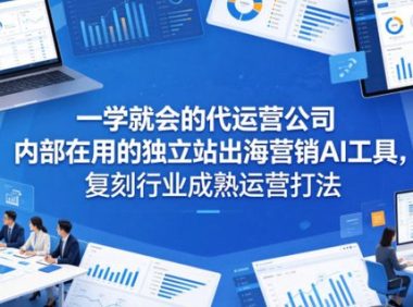一学就会的代运营公司内部在用的独立站出海营销AI工具，复刻行业成熟运营打法