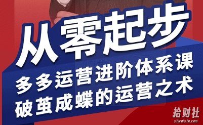 拼多多运营进阶系统课,从零起步,多多运营进阶体系课,破茧成蝶的运营之术(更新26年4月)
