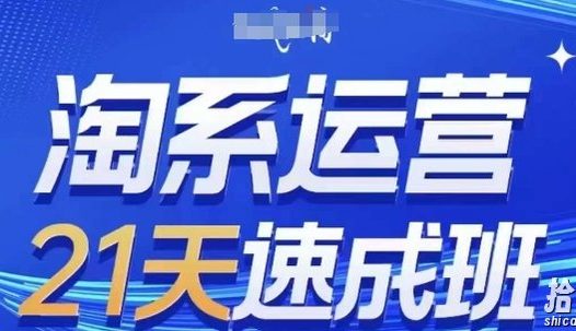 淘系运营21天速成班,0基础轻松搞定淘系运营,不做假把式,快速复制落地(更新26年4月)