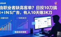 自由职业者缺高客单?日投10刀搞FB+INS广告,有人10天赚3K刀!【原创双语字幕】