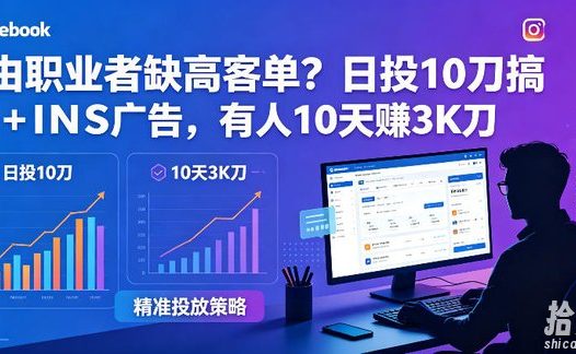 自由职业者缺高客单?日投10刀搞FB+INS广告,有人10天赚3K刀!【原创双语字幕】