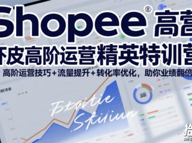 Shopee虾皮高阶运营精英特训营，高阶运营技巧+流量提升+转化率优化，助你业绩翻倍（更新26年5月）