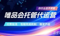 唯品会托管代运营,付费投流玩法,包赔兜底机制,稳定产出【揭秘】