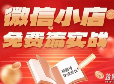 微信小店免费流实战,有货源无货源双模式,从开店到爆单全实操课,小白也能月入1W+