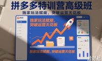 拼多多特训营高阶班,独家玩法赋能,突破运营天花板(更新26年5月15日)