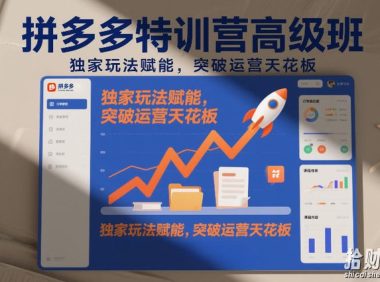 拼多多特训营高阶班,独家玩法赋能,突破运营天花板(更新26年5月15日)