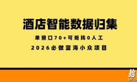 酒店智能数据归集,小众蓝海已经稳定半年之久,单窗口70+零成本矩阵开干【揭秘】