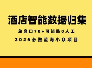 酒店智能数据归集,小众蓝海已经稳定半年之久,单窗口70+零成本矩阵开干【揭秘】