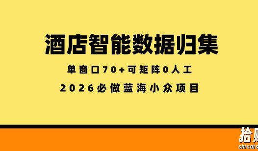 酒店智能数据归集,小众蓝海已经稳定半年之久,单窗口70+零成本矩阵开干【揭秘】