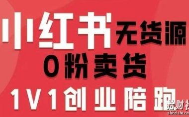 小红书无货源0粉电商课,开店准备、选品策略、笔记撰写、视频剪辑、数据分析、账号打造、资料文档(更新26年5月11日)