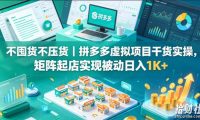 不囤货不压货|拼多多虚拟项目干货实操,矩阵起店实现被动日入1K+【揭秘】