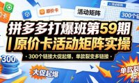 拼多多打爆班第59期|原价卡活动矩阵实操,300个链接大促起爆,单款裂变多链接