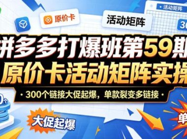 拼多多打爆班第59期|原价卡活动矩阵实操,300个链接大促起爆,单款裂变多链接