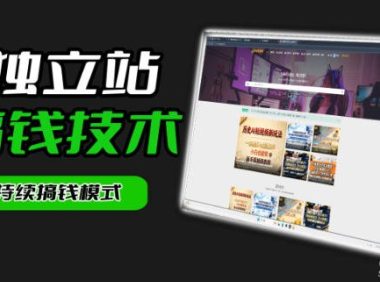 干货来袭！麦子甜带你吃透独立站｜从搭建到引流一站式教学《独立站》第一期