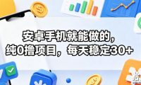 安卓手机就能做的,纯0撸项目,每天稳定30+