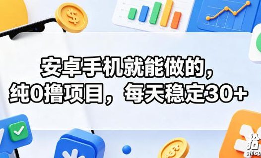 安卓手机就能做的,纯0撸项目,每天稳定30+