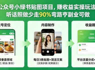 公众号小绿书贴图项目,赚收益实操玩法,听话照听话照少走90%弯路丨副业可做