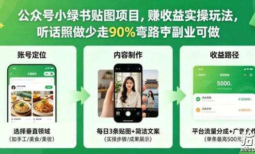 公众号小绿书贴图项目,赚收益实操玩法,听话照听话照少走90%弯路丨副业可做