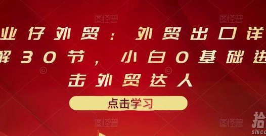 业仔外贸：外贸出口详解30节，小白0基础进击外贸达人 价值666元