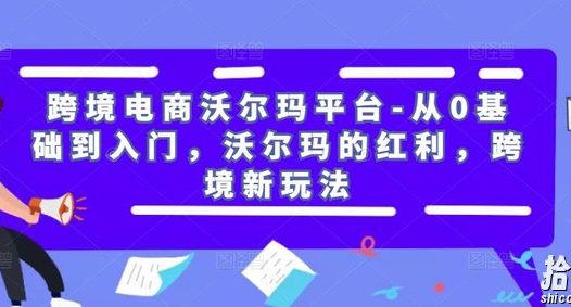 跨境电商沃尔玛平台-从0基础到入门,沃尔玛的红利,跨境新玩法