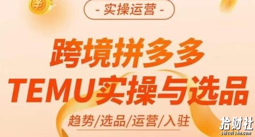 伍跃·跨境拼多多TEMU实操与选品,趋势/选品/运营/入住(27节完整)