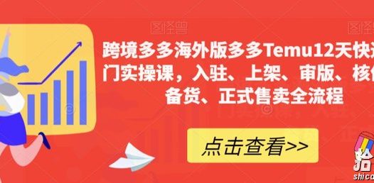跨境多多海外版多多Temu12天快速入门实操课,入驻、上架、审版、核价、备货、正式售卖全流程