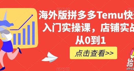 海外版拼多多Temu快速入门实操课,店铺实战从0到1
