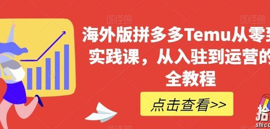 海外版拼多多Temu从零到一实践课,从入驻到运营的最全教程