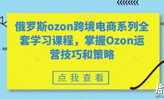 俄罗斯ozon跨境电商系列全套学习课程,掌握Ozon运营技巧和策略
