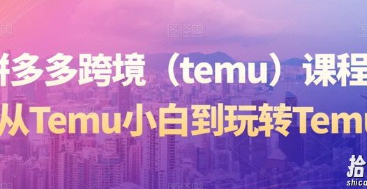 拼多多跨境(temu)课程,从Temu小白到玩转Temu