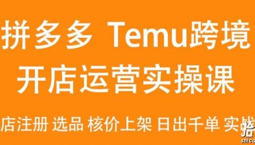 2024Temu最新玩法,Temu跨境开店运营实操课,开店注册/选品/核价上架/日出千单实战课